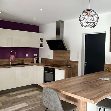 Villa Maison Moderne Et Spacieuse - 6 Pers. - Fr-1-881-22 Vielle-Saint-Girons